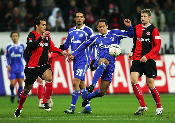 培养名单的 培养名单的